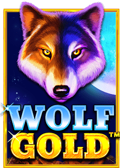 แชร์ประสบการณ์สล็อตเกมคาสิโนออนไลน์บนมือถือสนุกได้ทุกที่